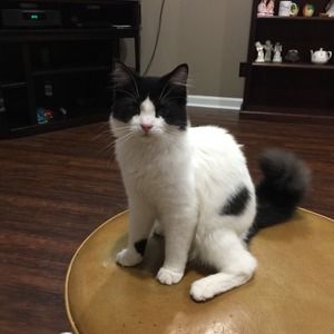 Meet your Posher, Sharon